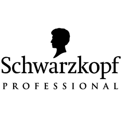 Schwarzkopf Professional 2013 Победитель